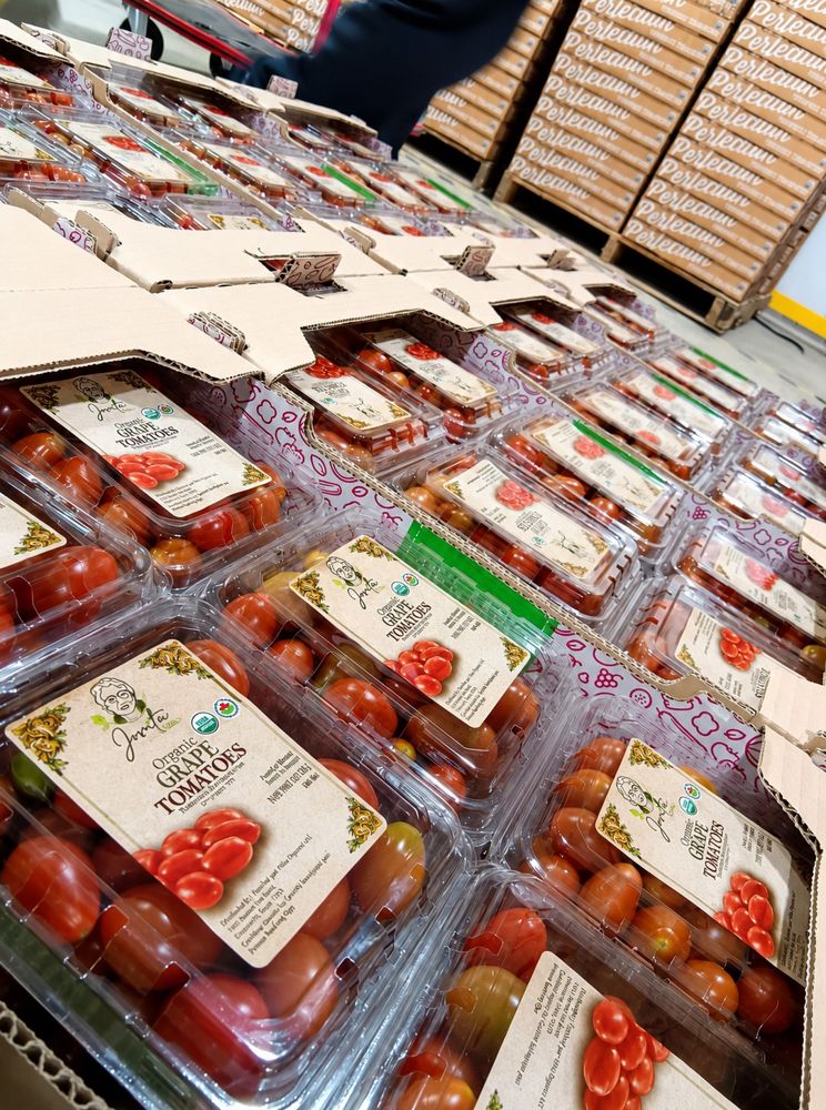 Packed clamshells on the packing line